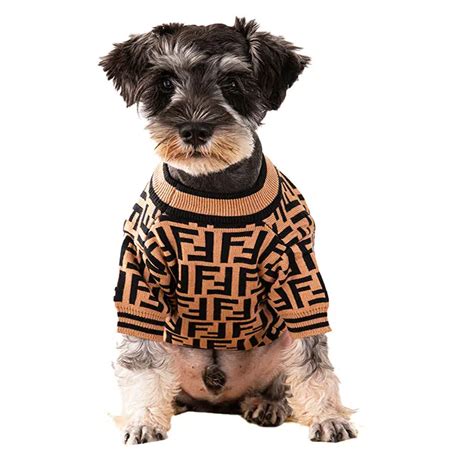 fendi puppy clothes